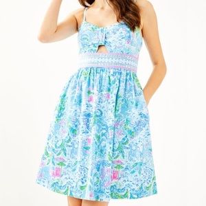NWT Lilly Pulitzer what a lovely place dress 10